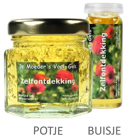 Zelfontdekking