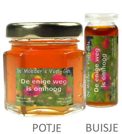 De enige weg is omhoog