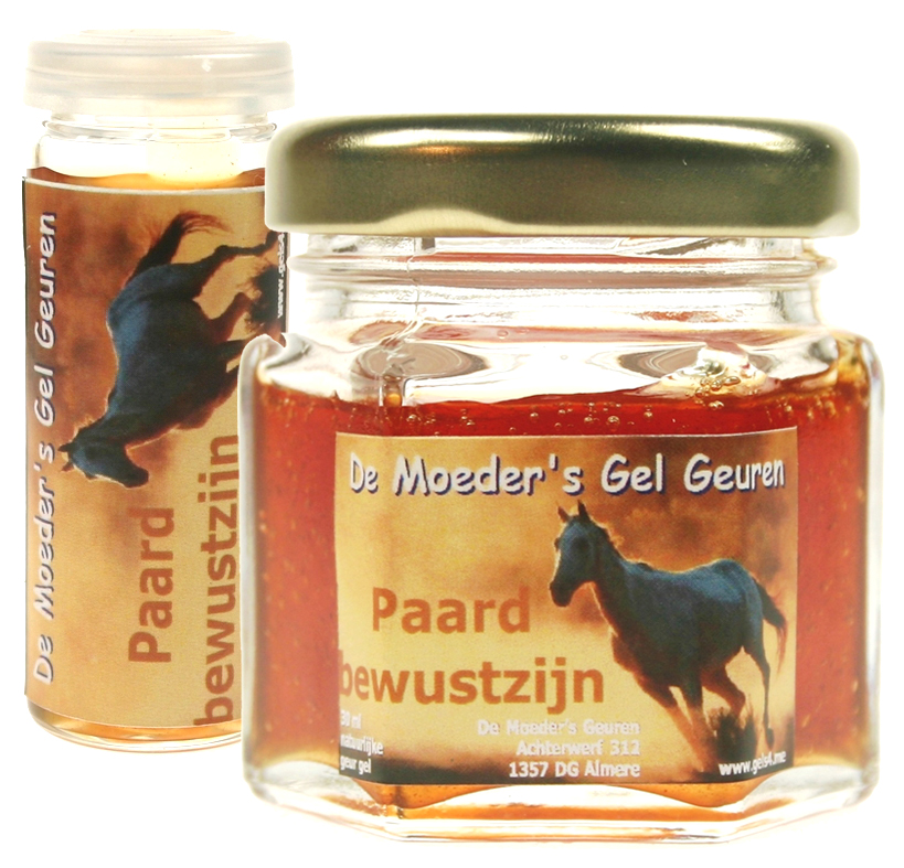 Paard Bewustzijn