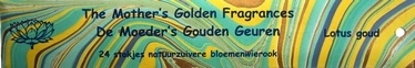 Lotus Goud 24 lange stokjes - Afbeelding 2