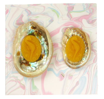 Zeepaardjes in abalones
