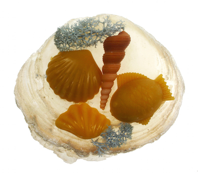 Schelpjes op parelmoer schotel