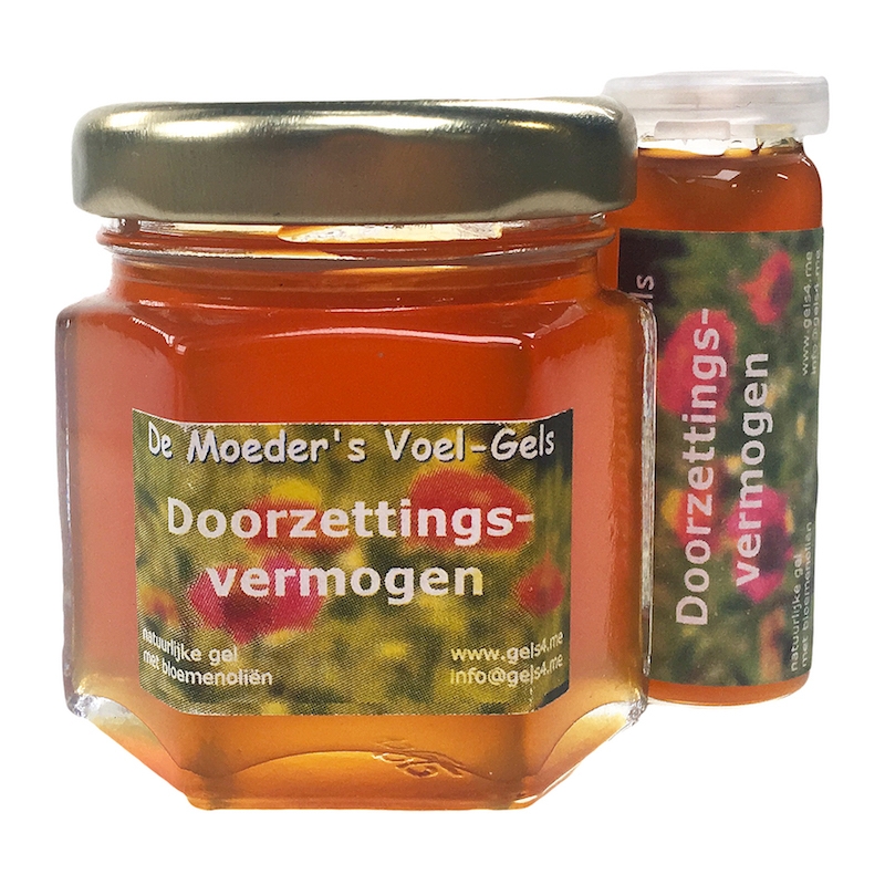 Doorzettingsvermogen
