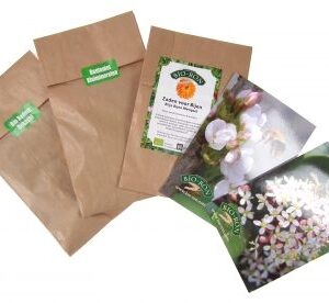 Bio-Ron Blijen Bijen Ballen Set
